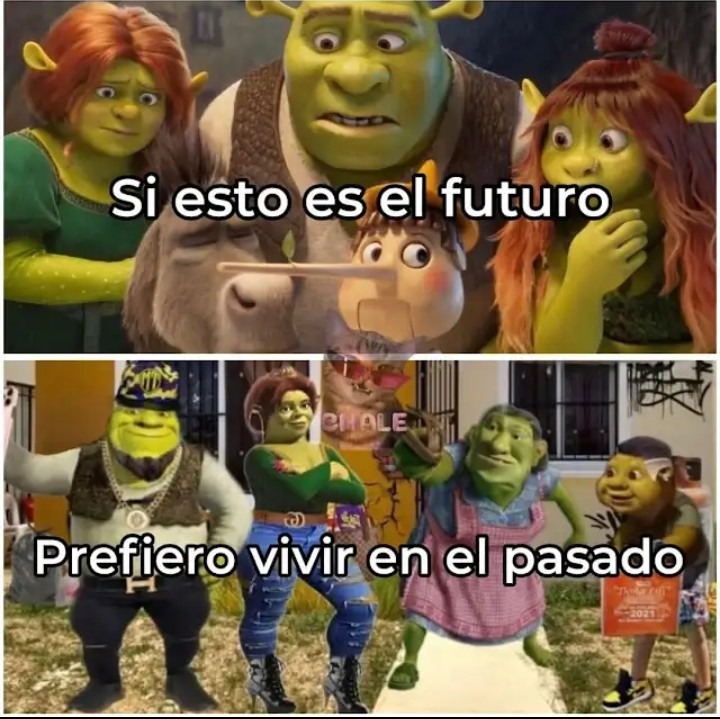 Lamentablemente no se puede - meme