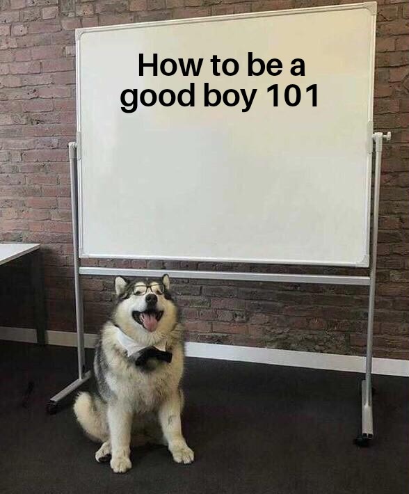 Good boy - meme