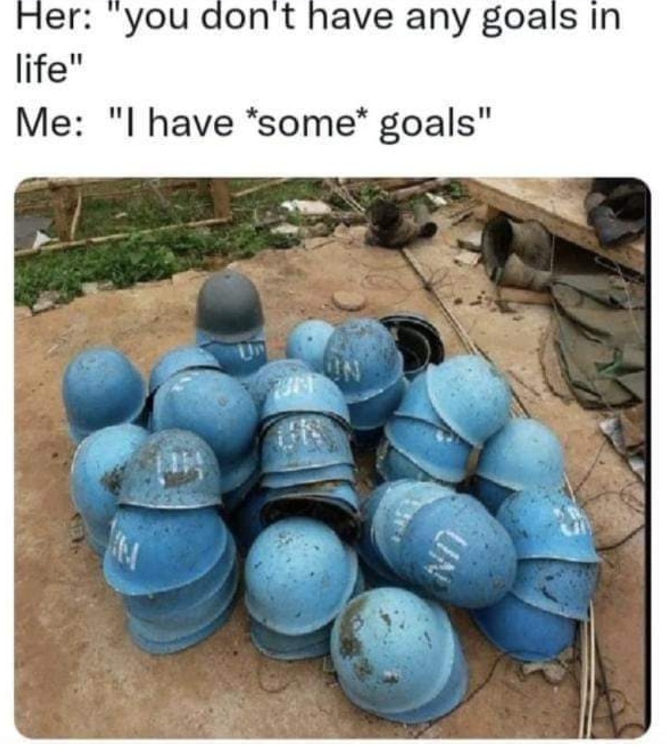 Life goals - meme