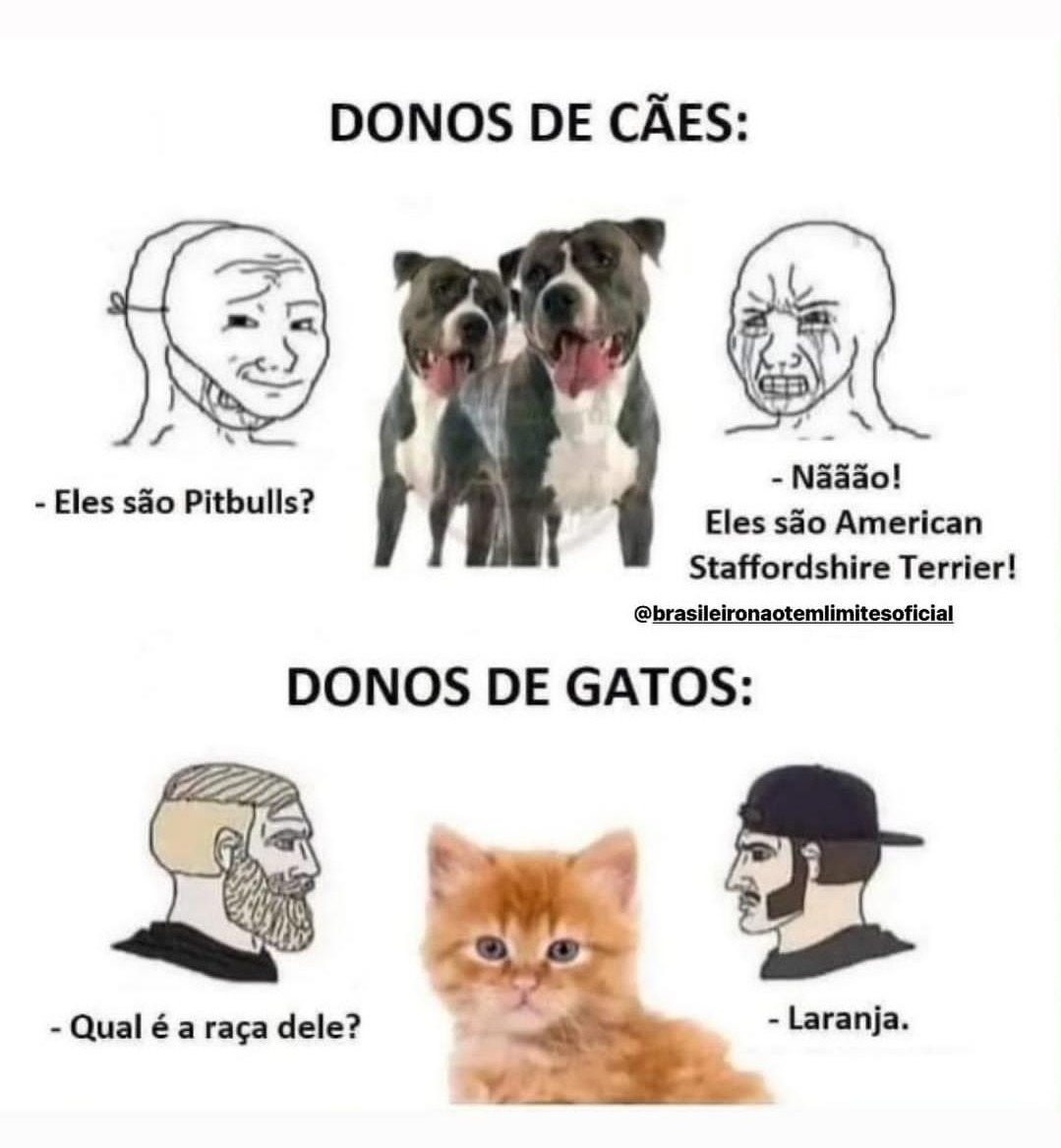 Laranja - meme