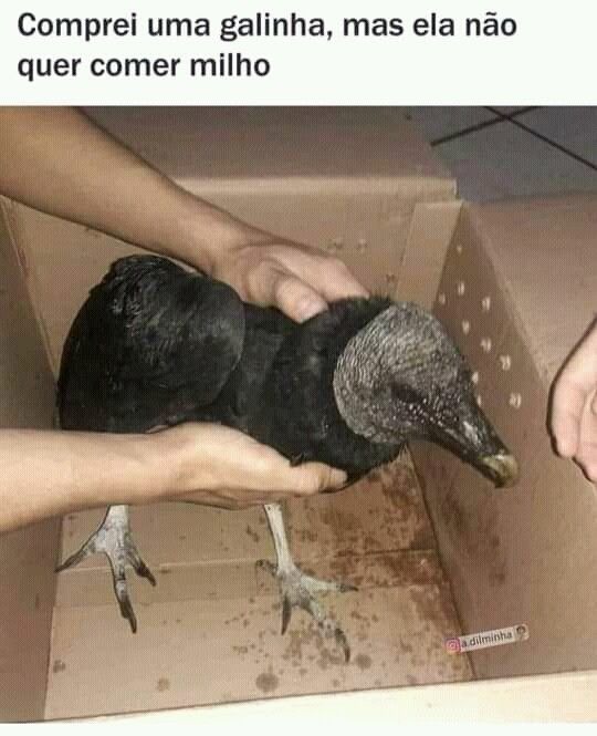 nao filho - meme