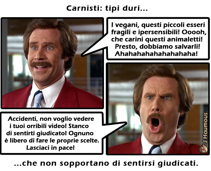 Fragilità - meme