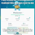 Molester Squirtle