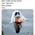 Cats like that sound