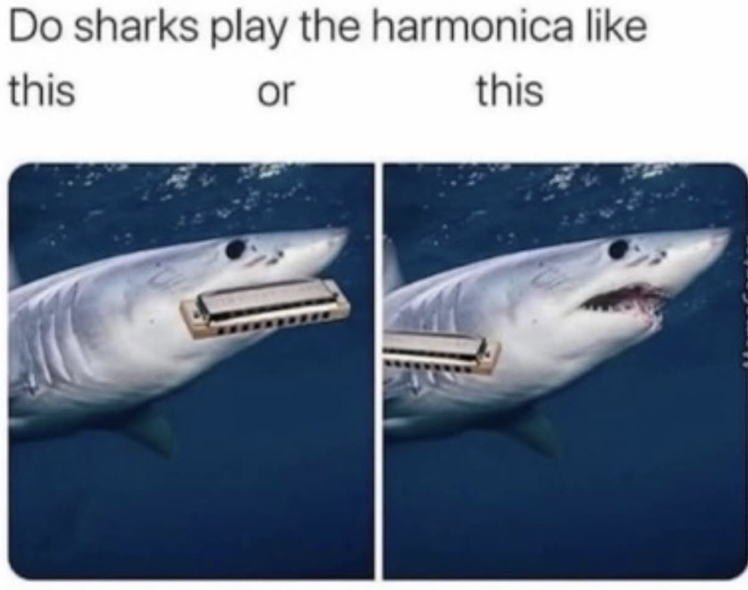 Harmonica-head shark - meme