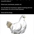 I own four ghost chickens