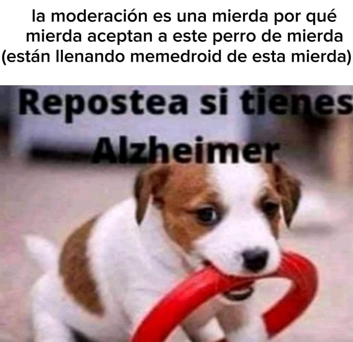 Pura basura aceptan - meme