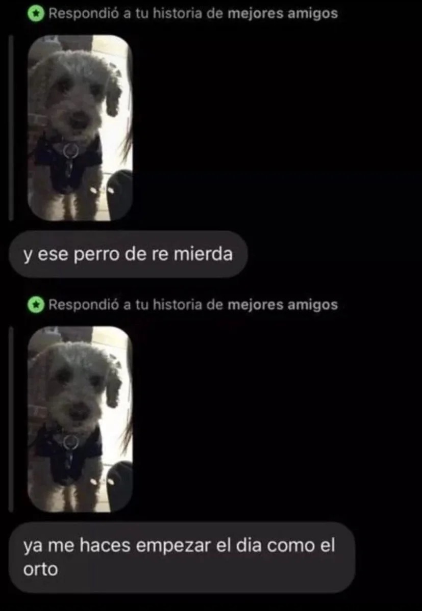 Lo re criticaba - meme