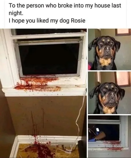 Home intruder had a bad night - meme