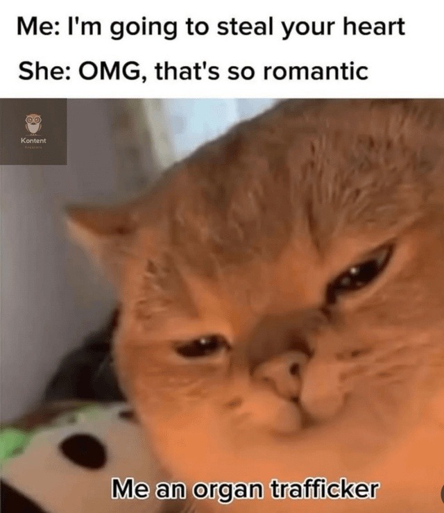 Romantic or red flag? Depends on your profession - meme