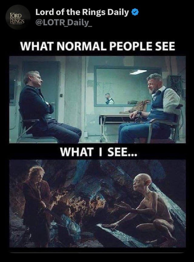 Normal people vs me looking at LOTR screenshots - meme
