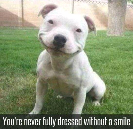 Have a big smile on me - meme
