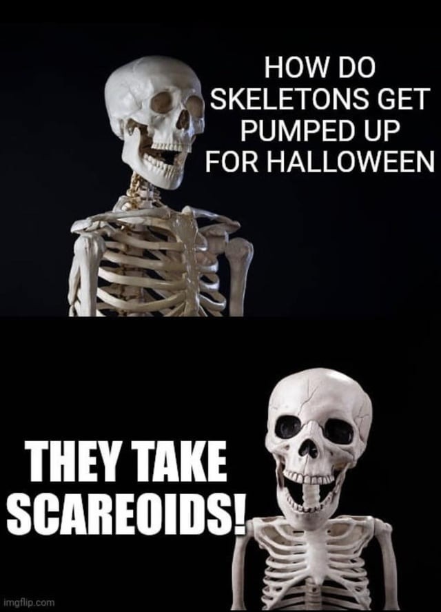 Funny Halloween memes