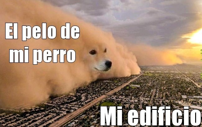 Cuando tienes perro - meme