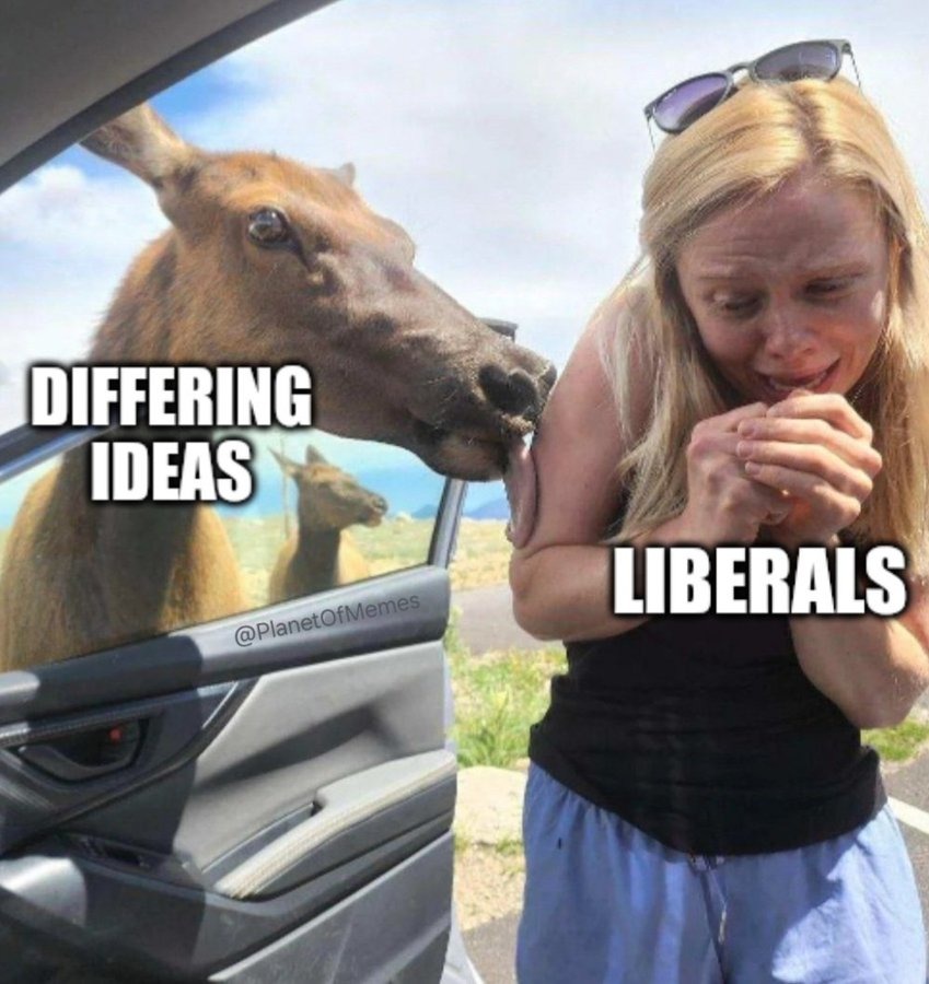 * lick * - meme