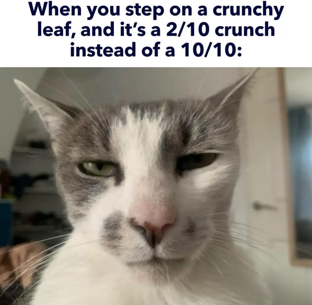 Little crunch - meme