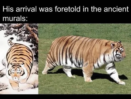 This tiger arrival was foretold - meme