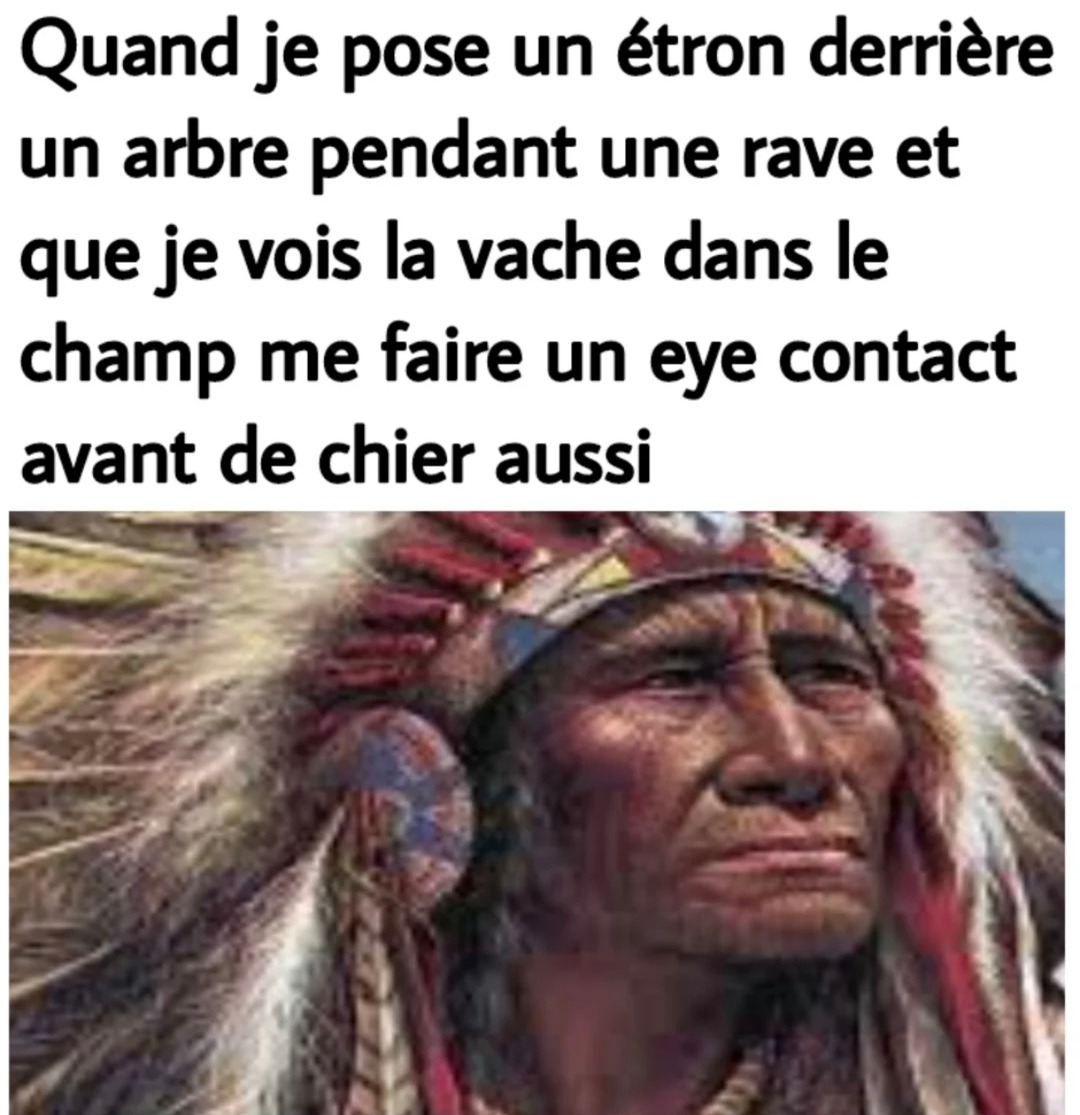 quand tu poses ton caca en rave et que la vache valide ton move - meme