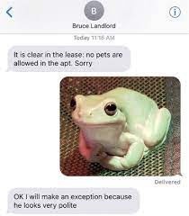 Polite lil frog - meme