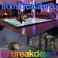 Del breakdance a la bancarrota