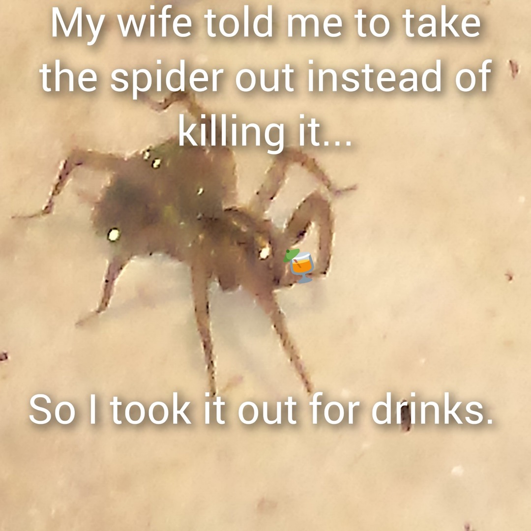 Spider friend - meme