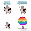Gay birds