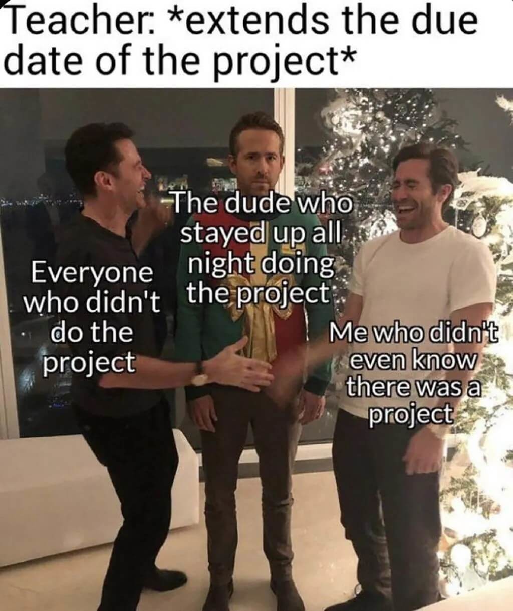 project - meme