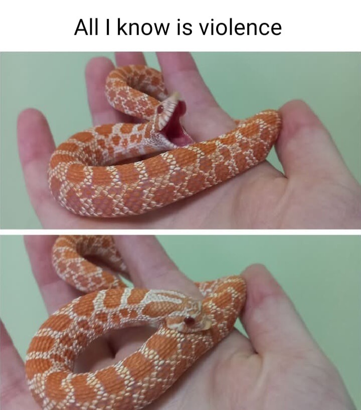 I seek blood - meme
