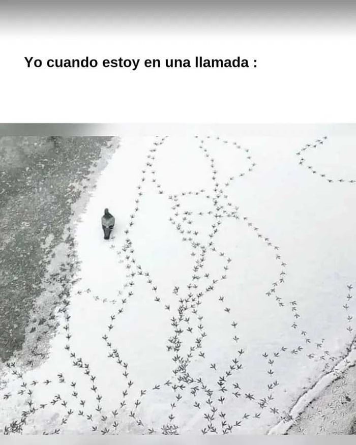 Huummm - meme
