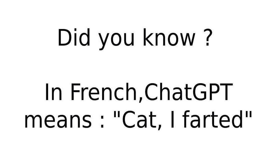 le saviez-vous ? ChatGPT en français ça veut dire chat qui pète - meme