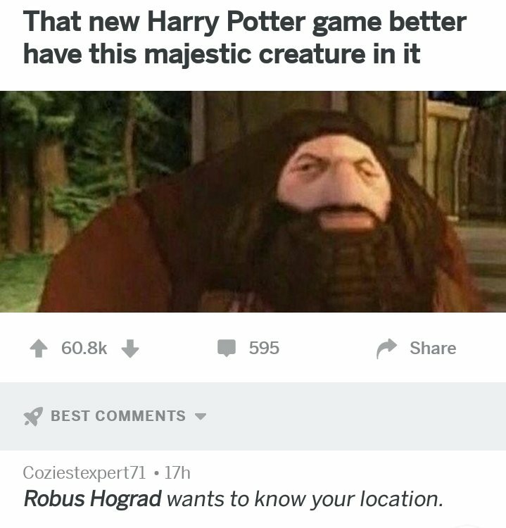 hagrid youre a wizard harry