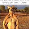 Reality of kangaroos