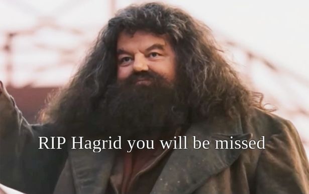 The actor of Hagrid died today - meme