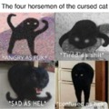 cursed cats