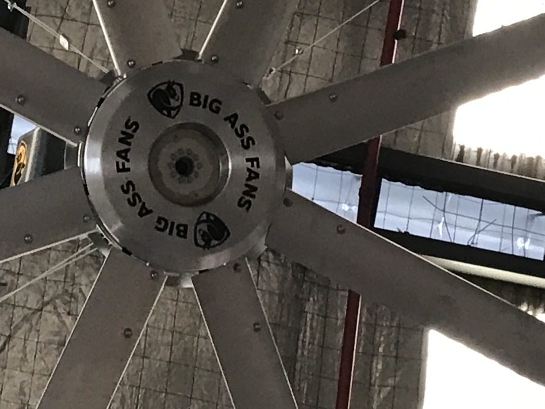 At first thought it was big brass fans - meme