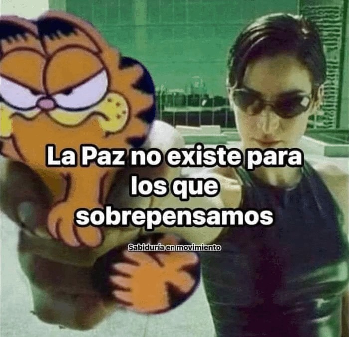 No hay lugar para la paz - meme