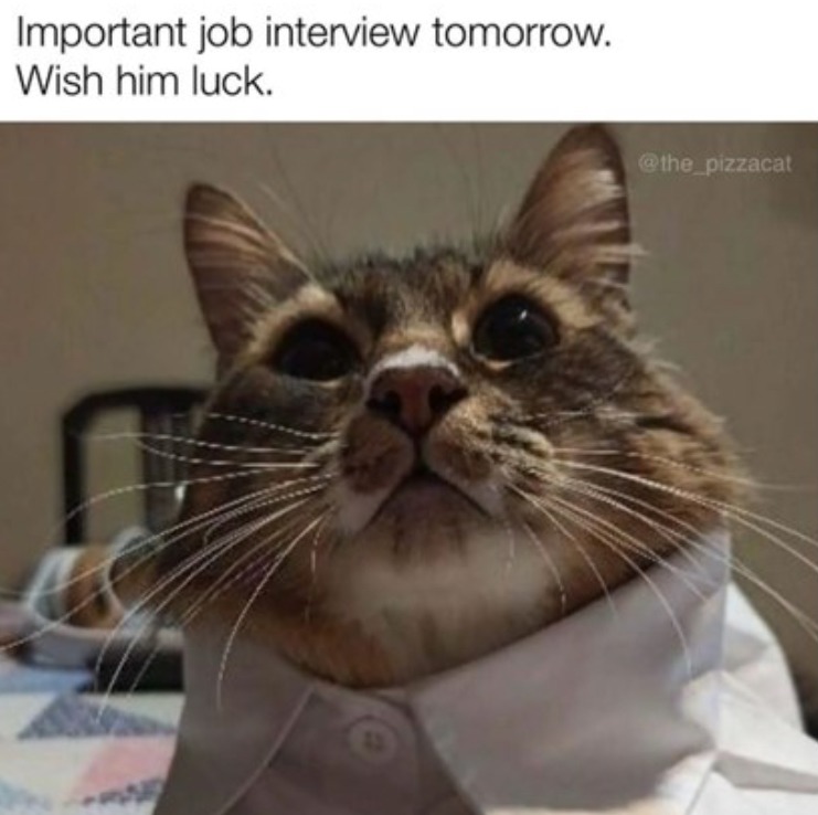 wishes him luck - meme