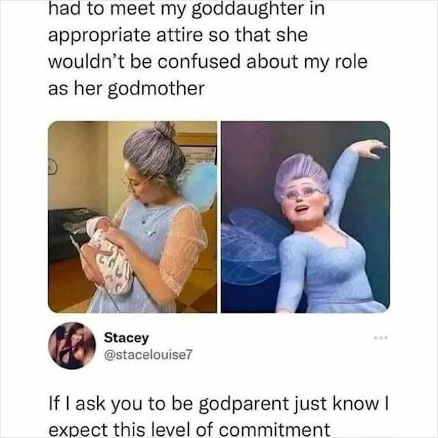 You come to me on the day of my child's birth not dressed for your roll - meme
