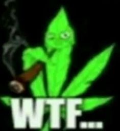 Wtf - meme
