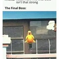 Final boss is a bird wtf