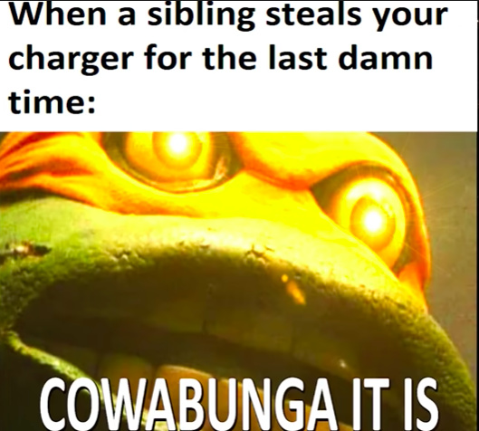 cowabunga it is - meme