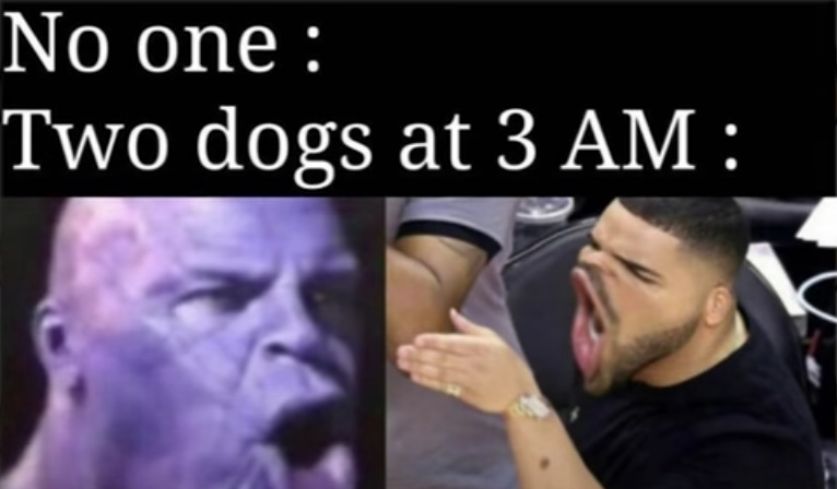 Dogs At 3am - meme