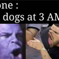 Dogs At 3am