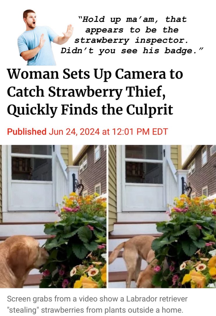 Strawberry Inspector - meme