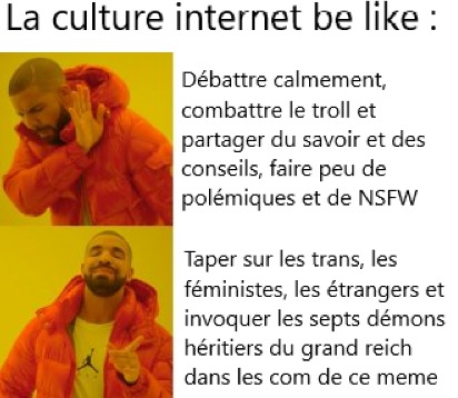 J'en ai marre des tweetos frr.... - meme