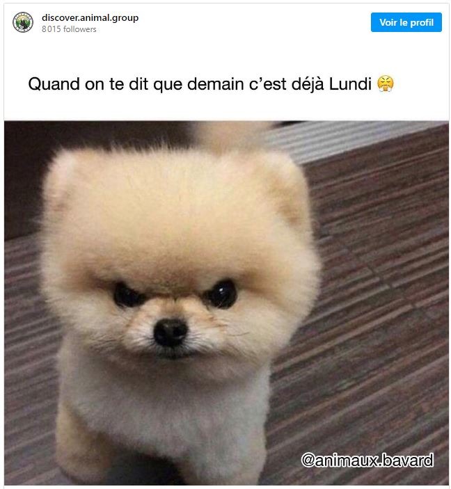 Moi le dimanche - meme