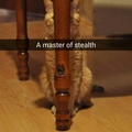 A Master Of Stealth