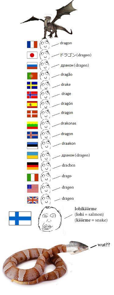 Oh glorious finnish language - meme