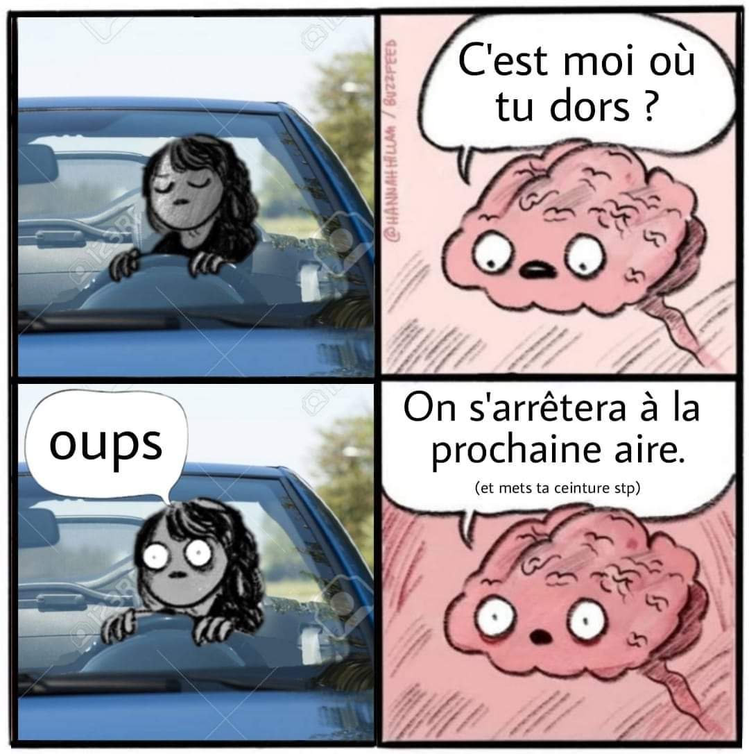 The best cerveau memes ) Memedroid