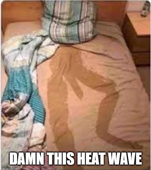 heatwave - meme